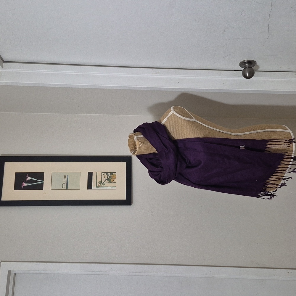Pashmina Shawl scarf in Cashimere and seta blend  plain  purple color